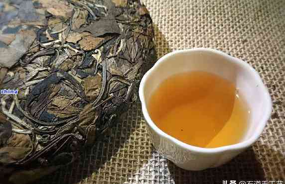 “薄荷塘”古树茶发酵熟茶？一不小心几十万打水漂？(图1)